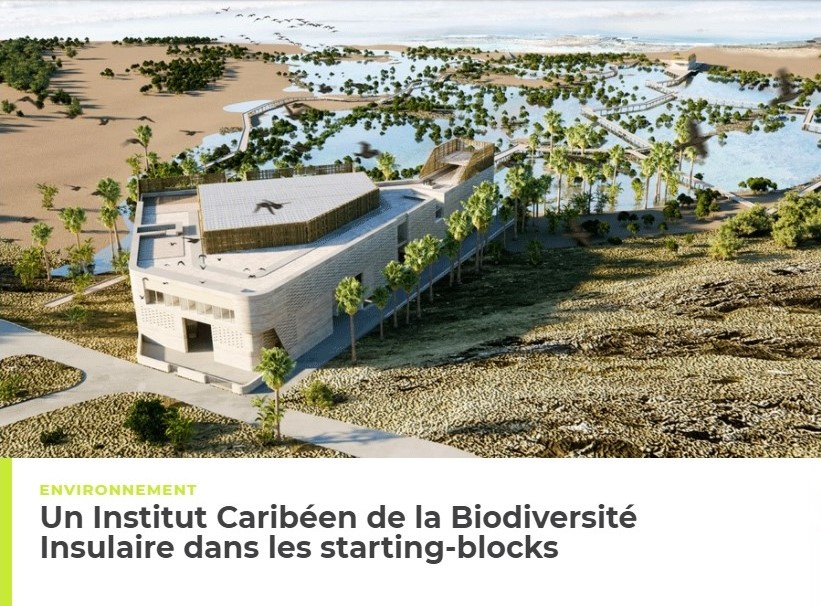 Institut Caribéen de la Biodiversité Insulaire dans les starting-blocks