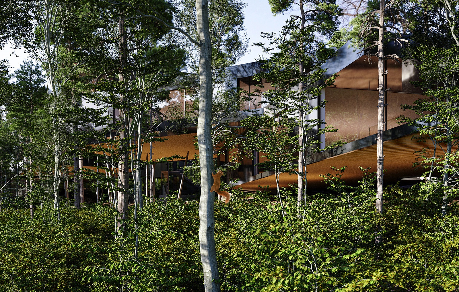 Ecolodges