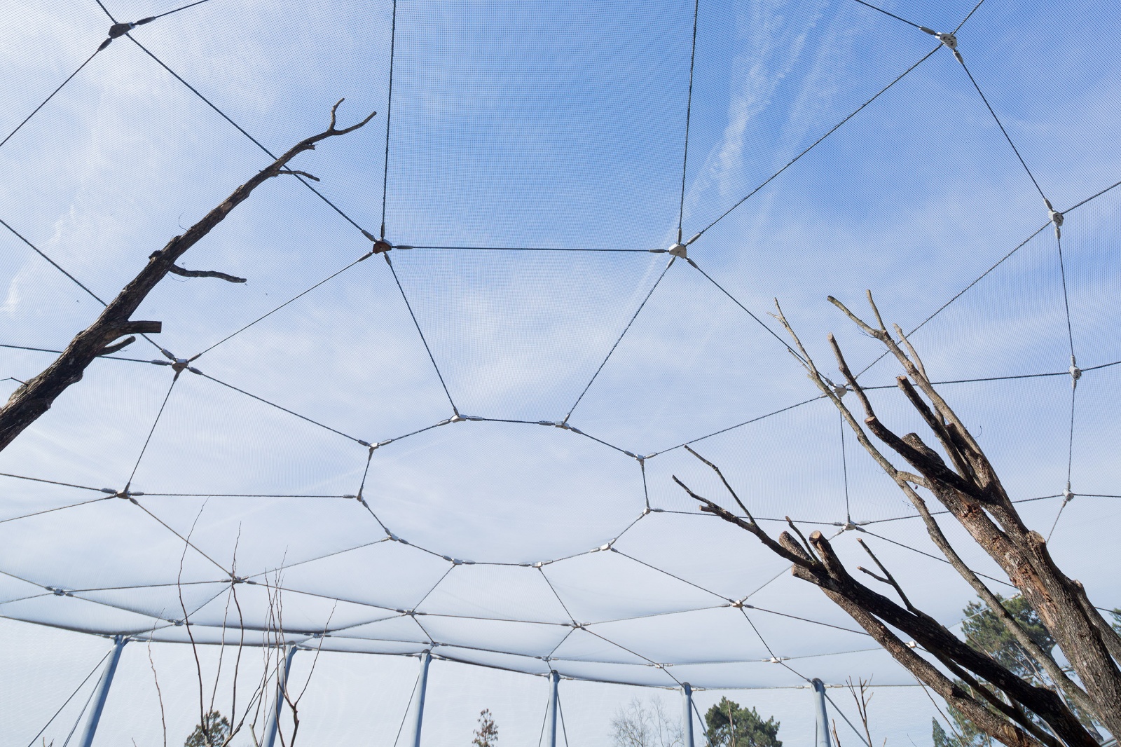 Parc Zoologique de Paris
