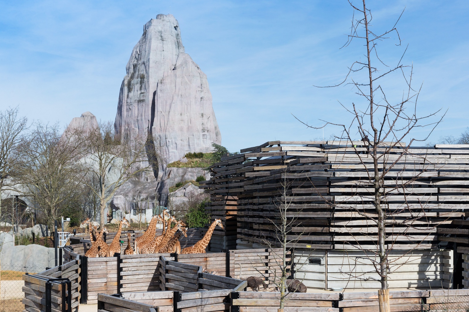 Parc Zoologique de Paris
