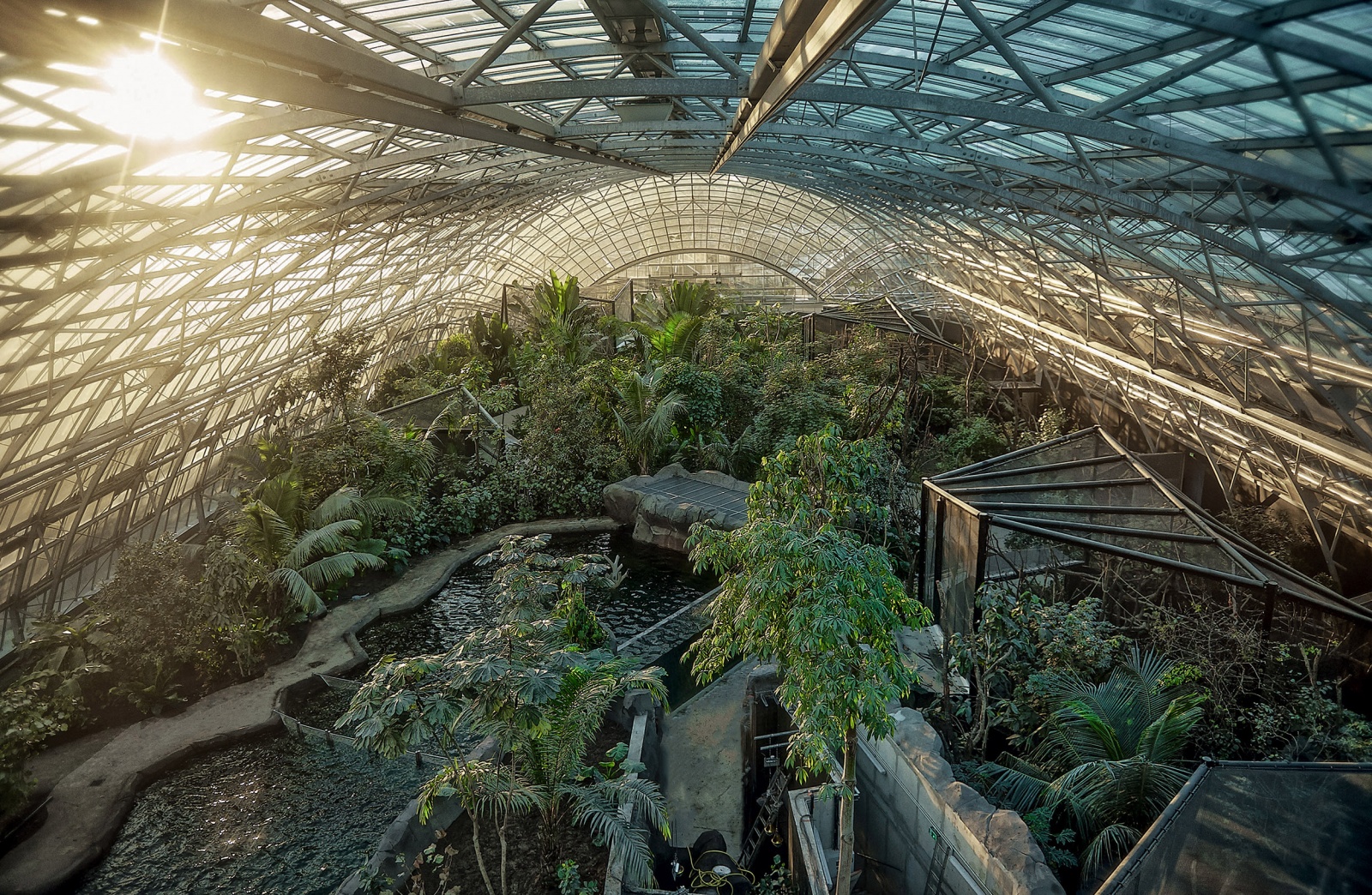 Parc Zoologique de Paris Vedea