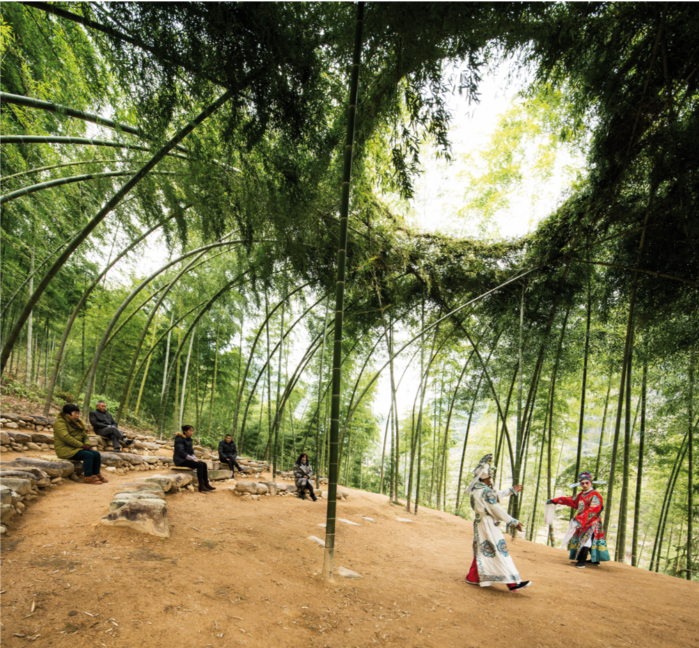 forêt bambous